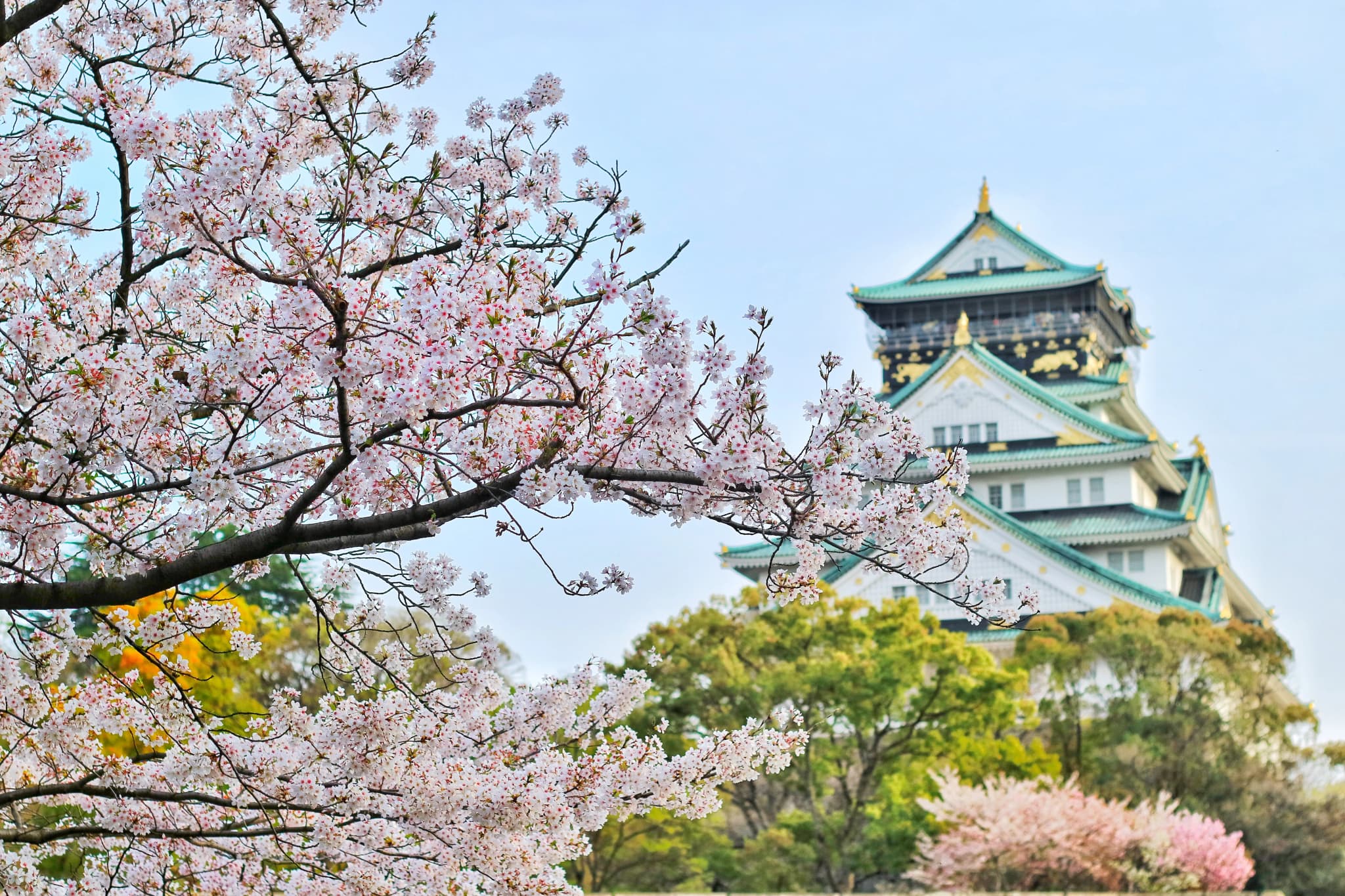 Kyoto Temples