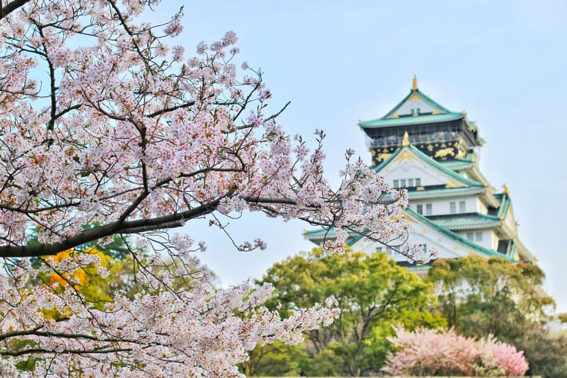 Kyoto Temples
