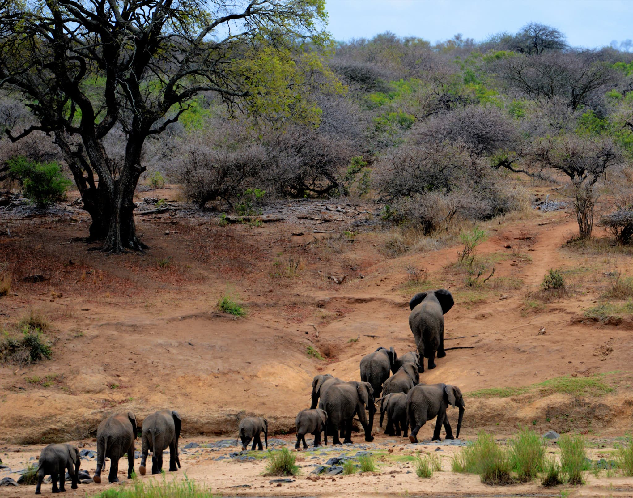Serengeti National Park
